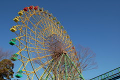 遊園地　観覧車