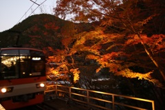 もみじ電車が行く