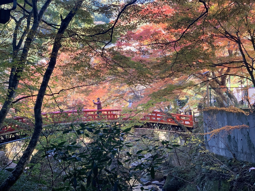 紅葉＊岩屋堂公園＊