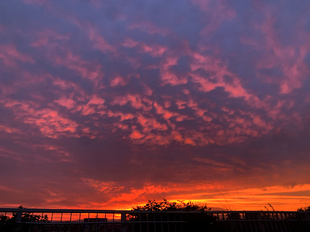 ある日の夕暮れ