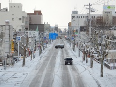 豪雪地帯の定点観測181123初冬02