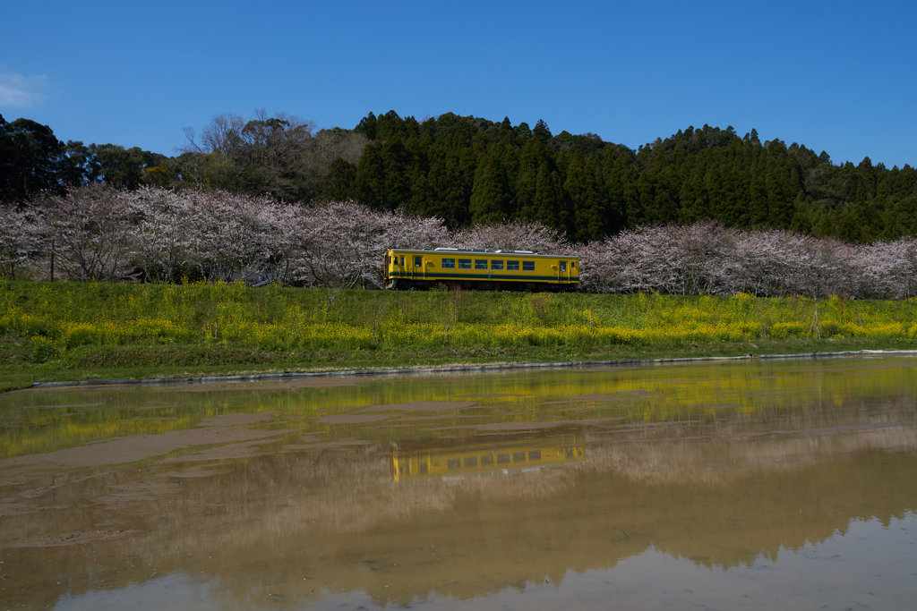 いすみ鉄道1