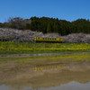 いすみ鉄道1