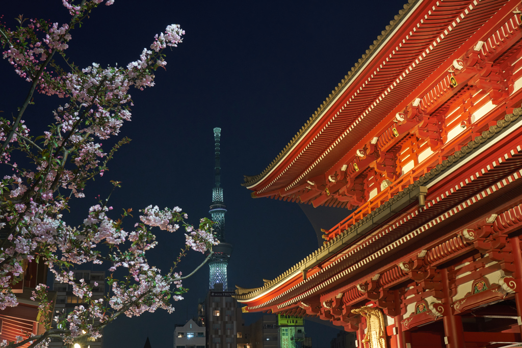 夜の浅草寺1