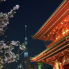 夜の浅草寺1