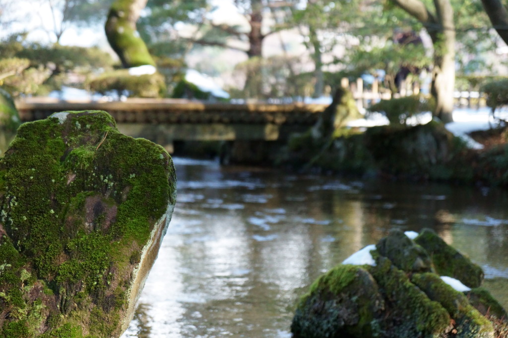 正月の兼六園5