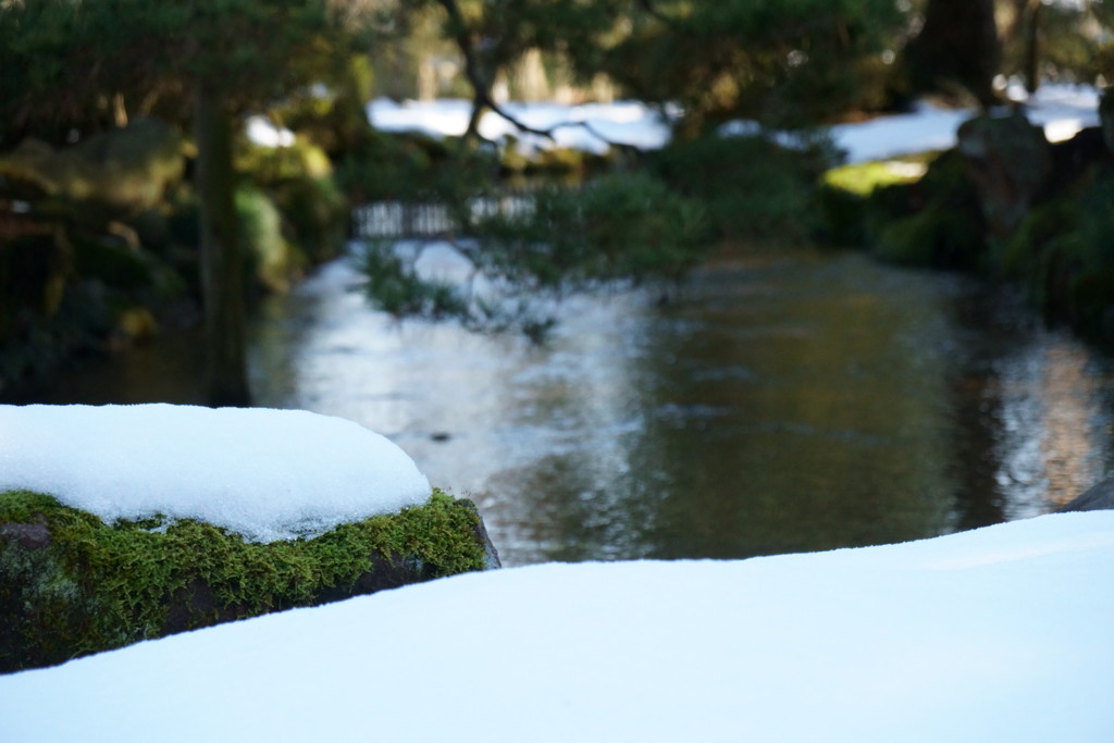 正月の兼六園4