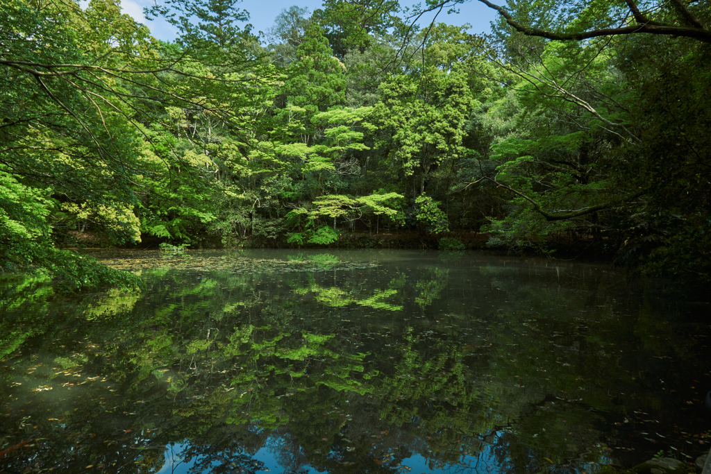 伊勢神宮参拝 内宮