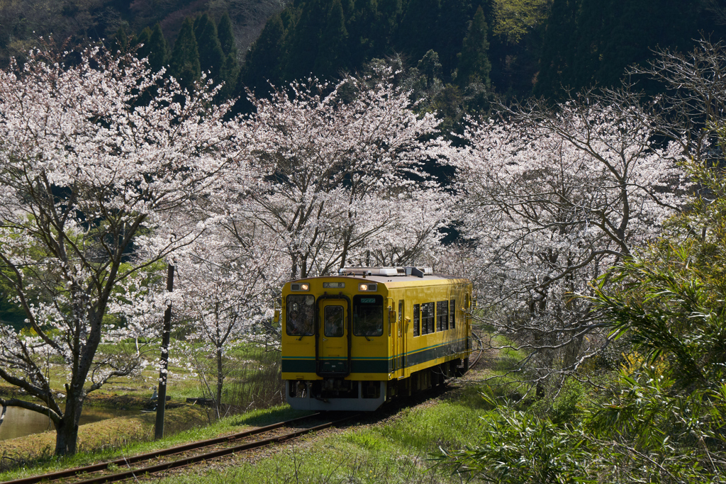 いすみ鉄道2