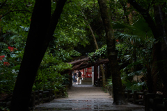 青島神社