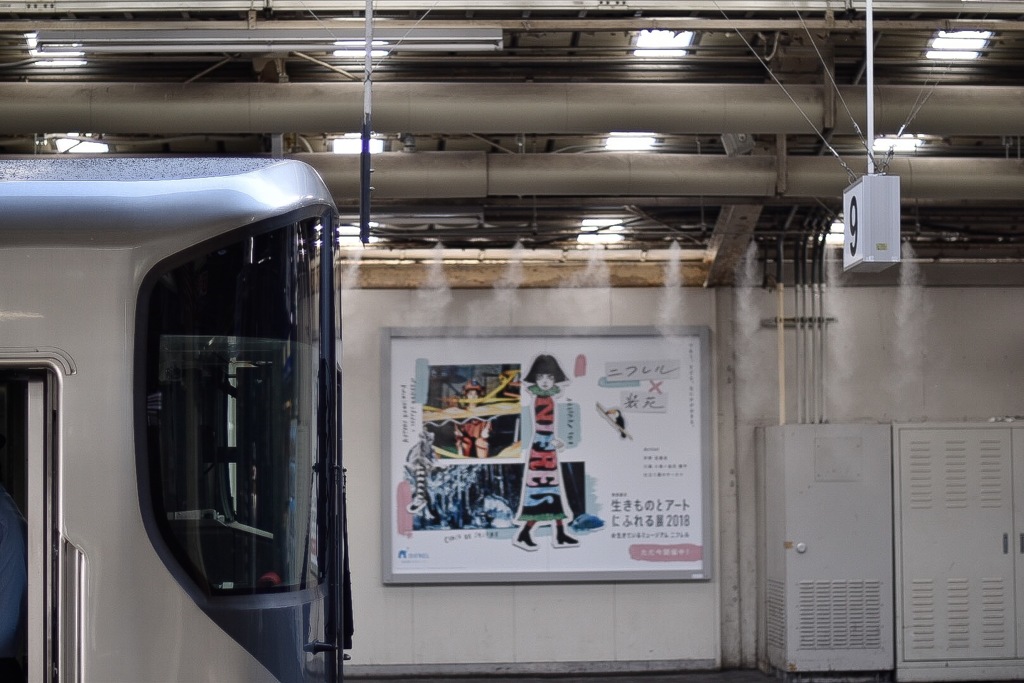 横顔くっきり