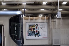 横顔くっきり