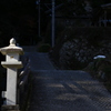 秋葉山①