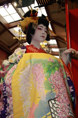 おいらん　2019