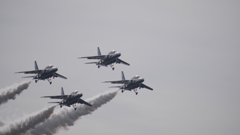 岐阜基地航空祭（2018）