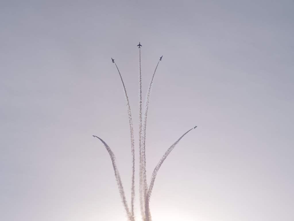 岐阜基地航空祭（2018）
