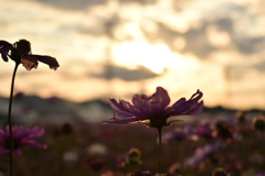 1D45DDD5-55BC-4964-806C-8448C2A82B6C