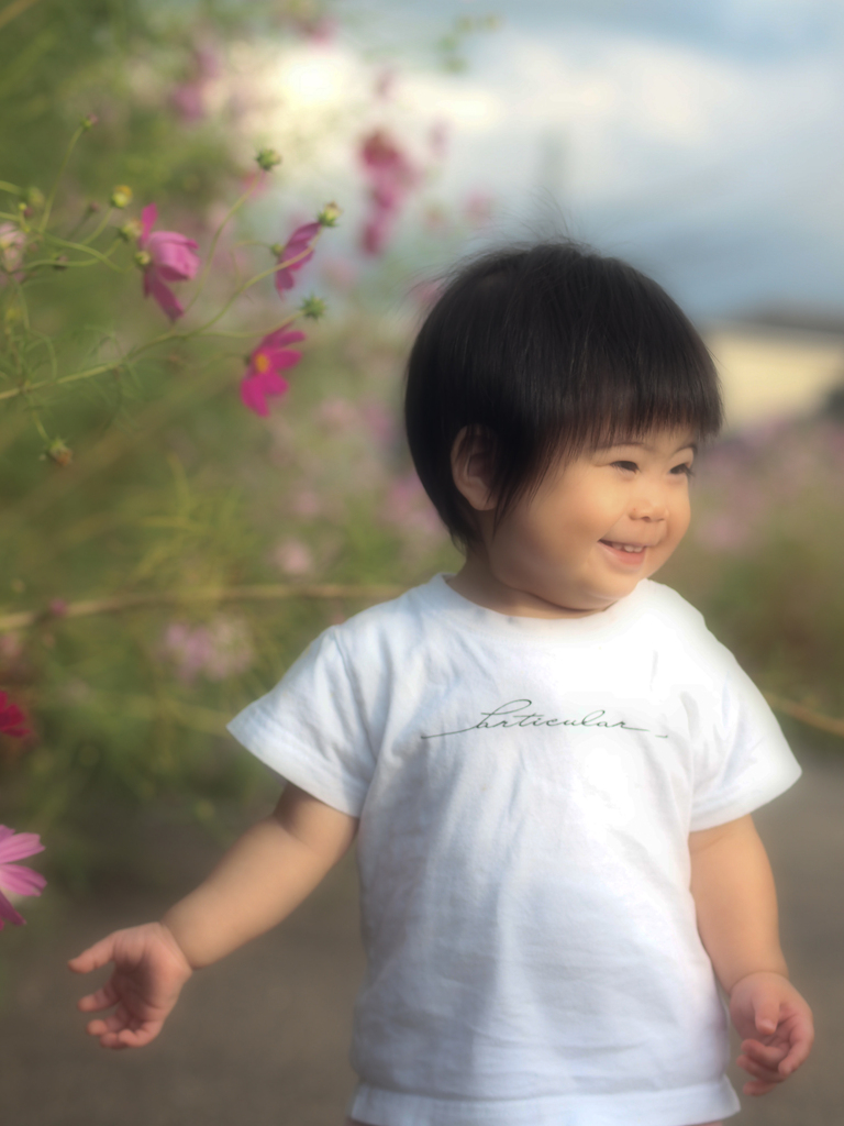 素敵なお散歩  inコスモスロード