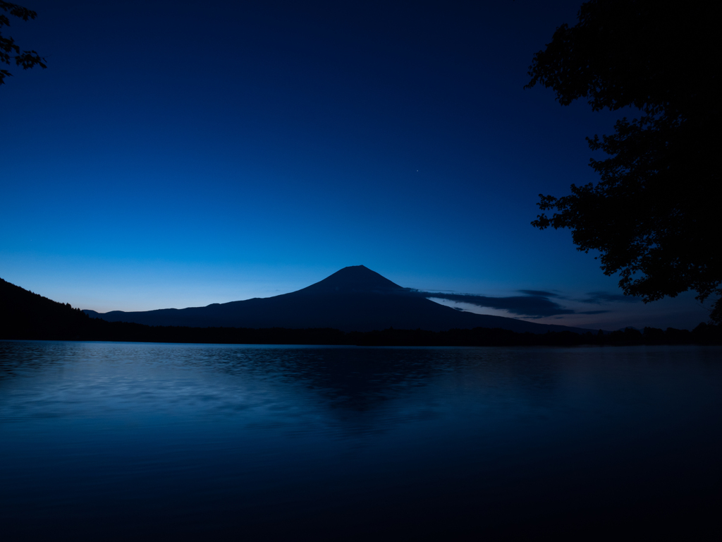 朝は夜より賢い