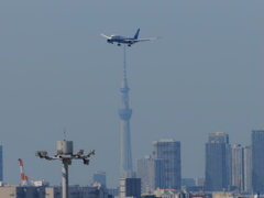 到着便