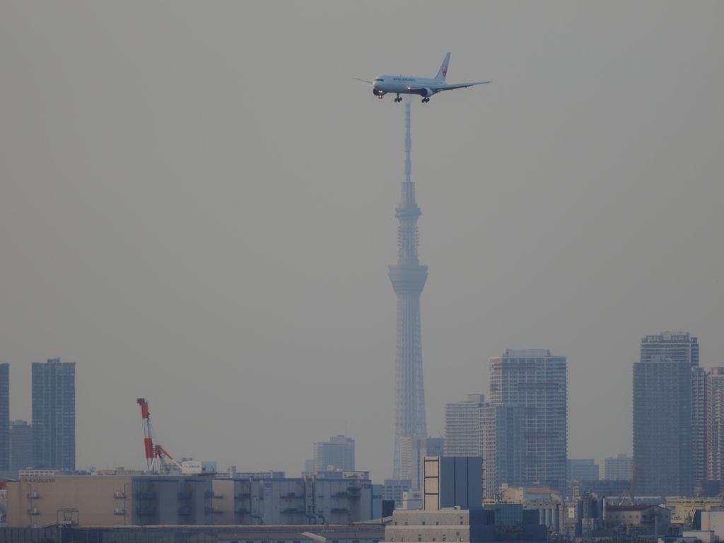 到着便