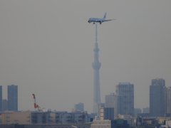 到着便