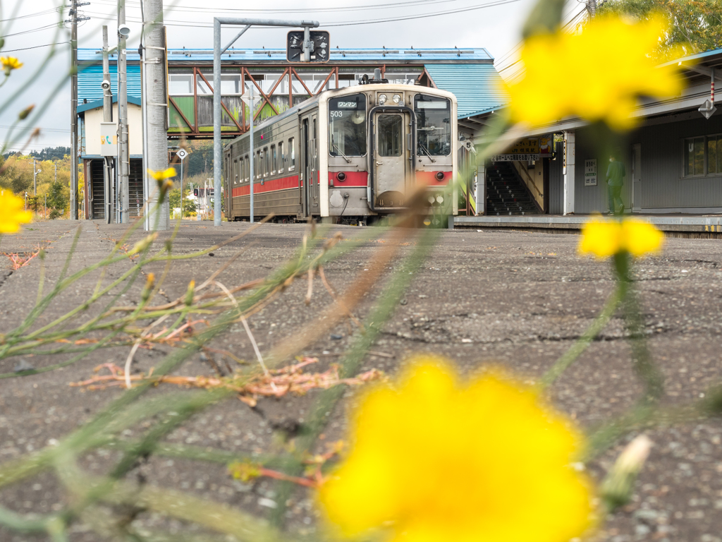 幌延駅停車中