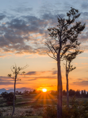 高原の夕陽
