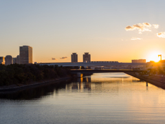 ゆうがたかもめ