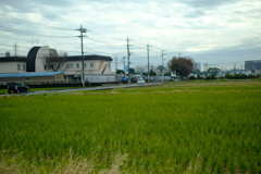 神奈川の車窓から