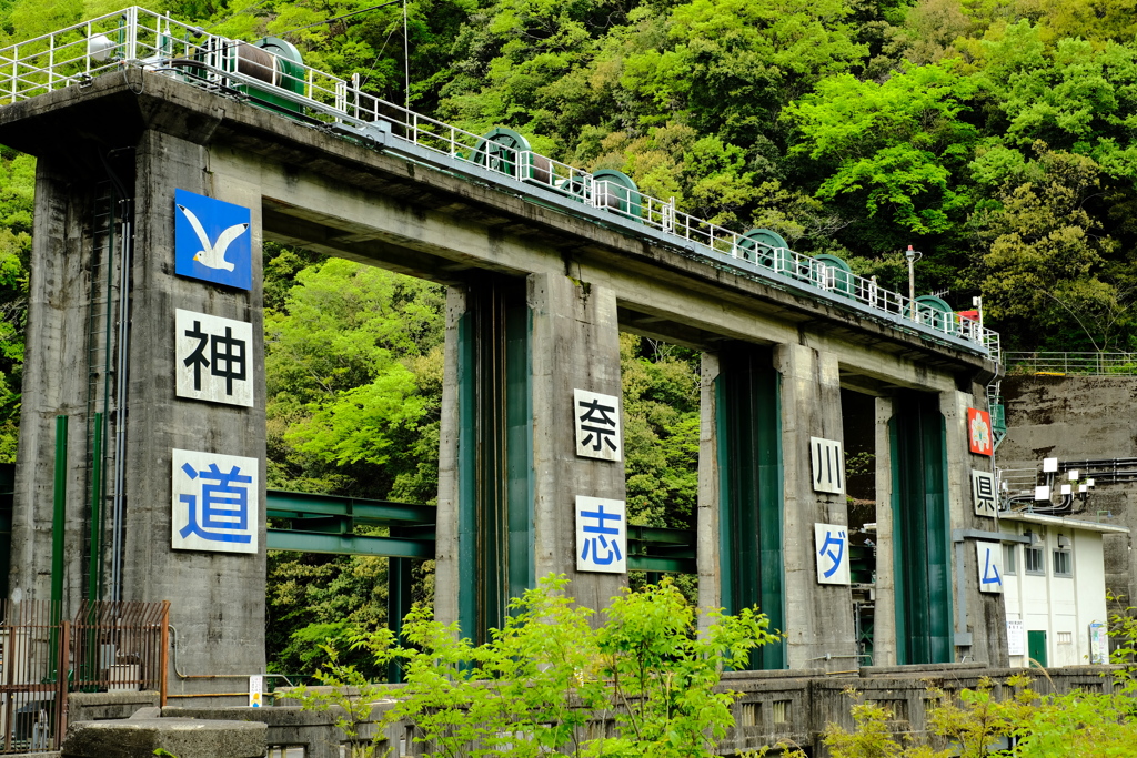 道志ダム