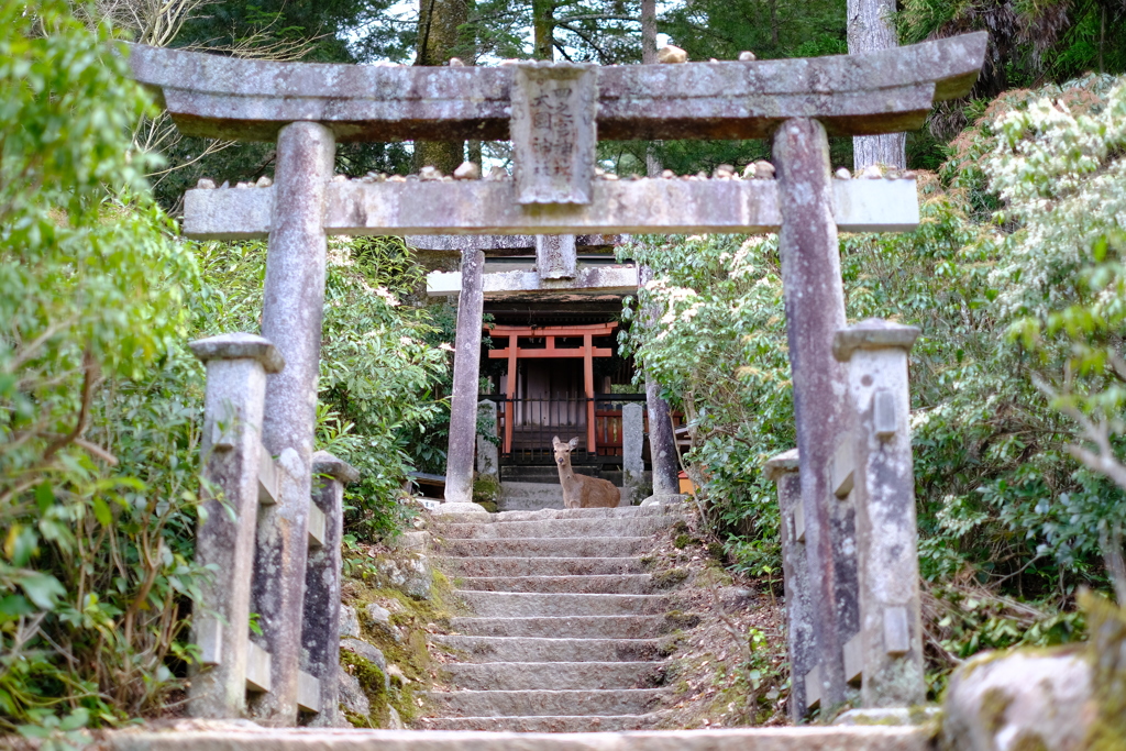 目が逢う瞬間…の1秒後