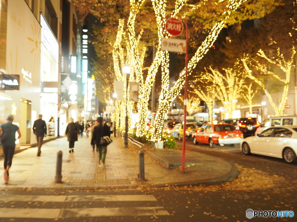 illumination～OMOTESANDO～