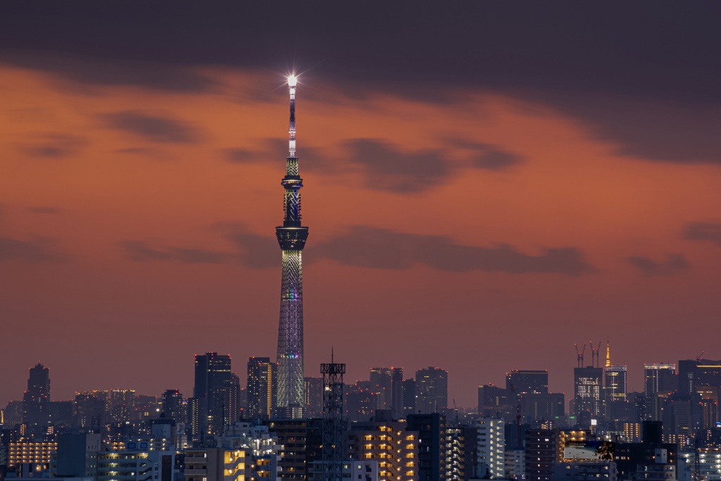 夜へ向かう東京