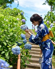 浴衣美人