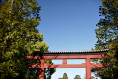 青空と大鳥居