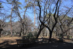 冬の大宮公園