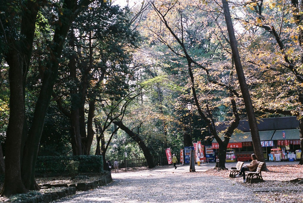 大宮公園