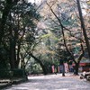 大宮公園