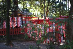 氷川稲荷