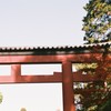 氷川の杜