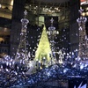 Bright Night