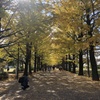 国営昭和記念公園