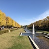 国営昭和記念公園