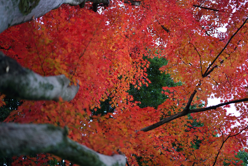 少林山