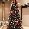 クリスマスキャンディツリー