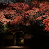 六義園 1