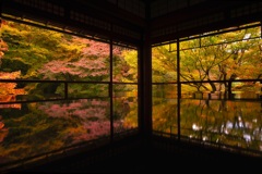 秋の瑠璃光院