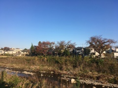 秋の景色