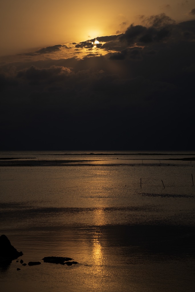 D90927F3-B161-4846-A37D-CE14B0ECCF1F